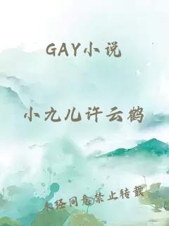 GAY小说