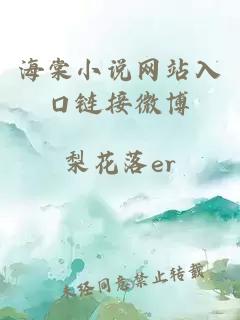 海棠小说网站入口链接微博