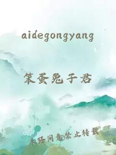 aidegongyang