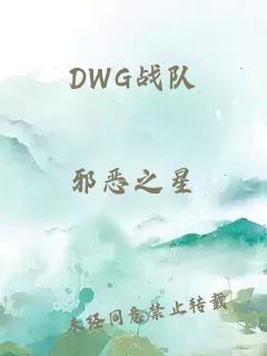 DWG战队