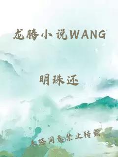 龙腾小说WANG