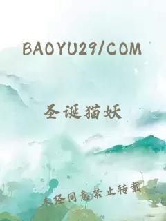 BAOYU29/COM