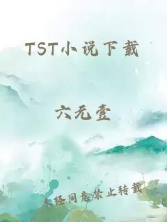 TST小说下载