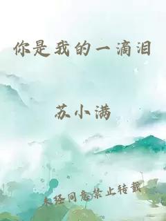 王磊晓芬小说免费阅读第一章