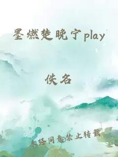 墨燃楚晚宁play