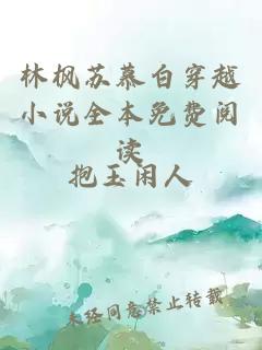林枫苏慕白穿越小说全本免费阅读