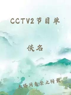 CCTV2节目单