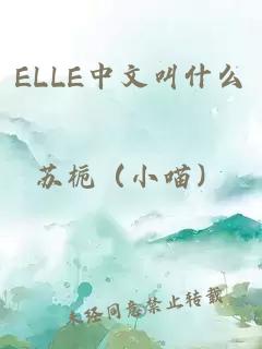 ELLE中文叫什么