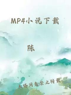 MP4小说下载